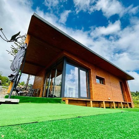 Sweet Escape Vladeasa Villa Rogojel ภายนอก รูปภาพ